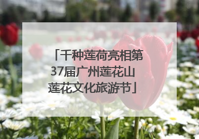 千种莲荷亮相第37届广州莲花山莲花文化旅游节